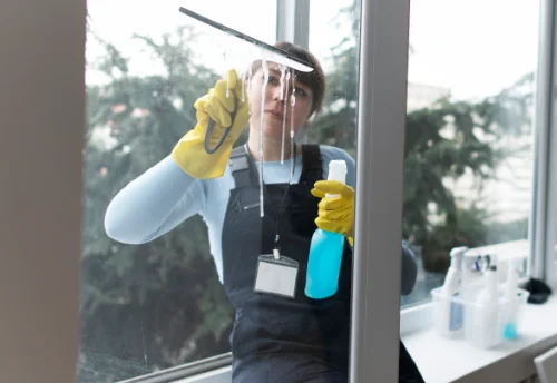 Nettoyage de vitres intérieures et extérieures à Oncy-sur-École